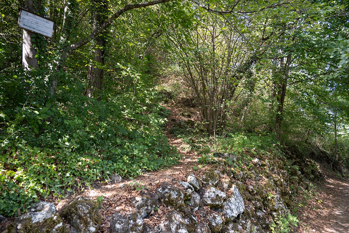 Aufstieg zur Ruine